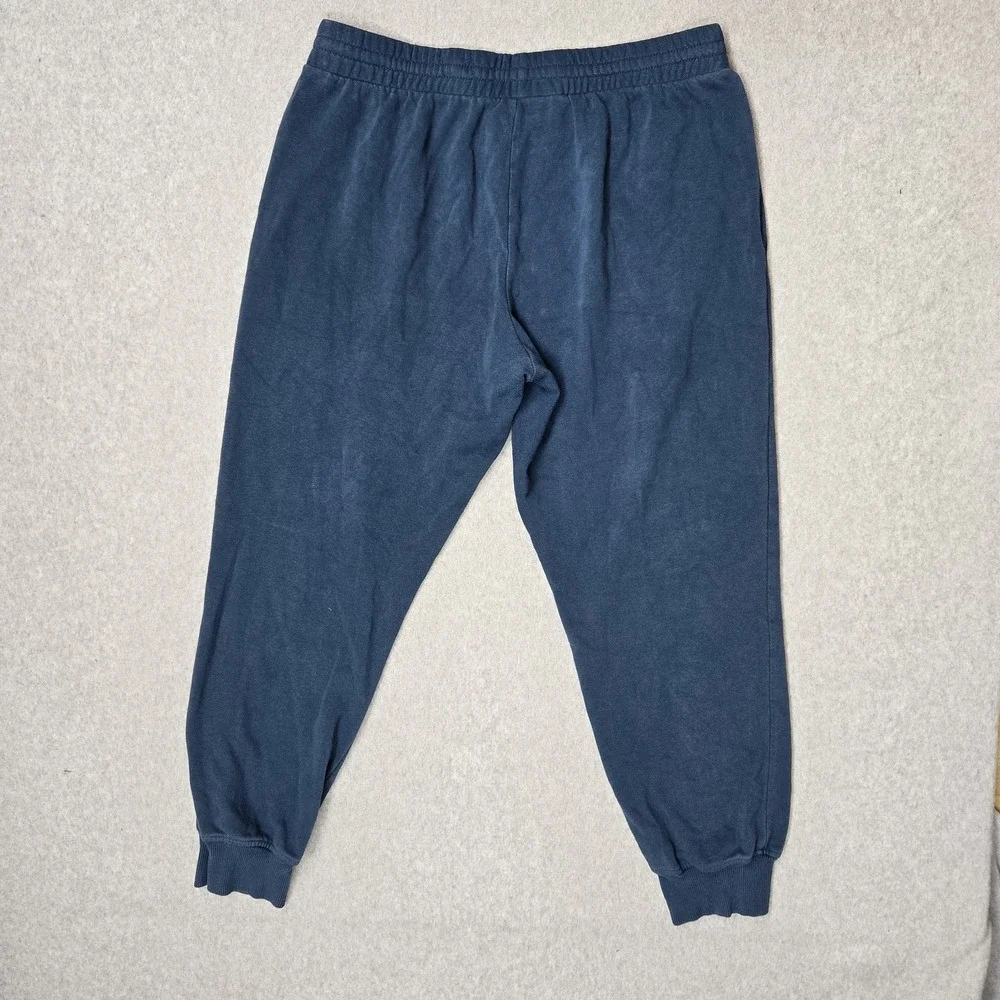 The North Face Men Activewear Pants L/G Blue Sweatpants Fleece Logo